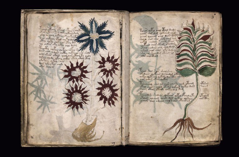manuscrito voynich